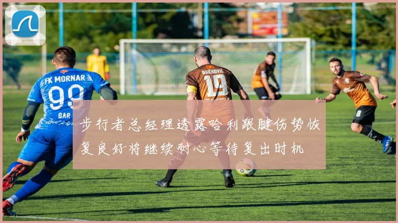 步行者总经理透露哈利跟腱伤势恢复良好将继续耐心等待复出时机